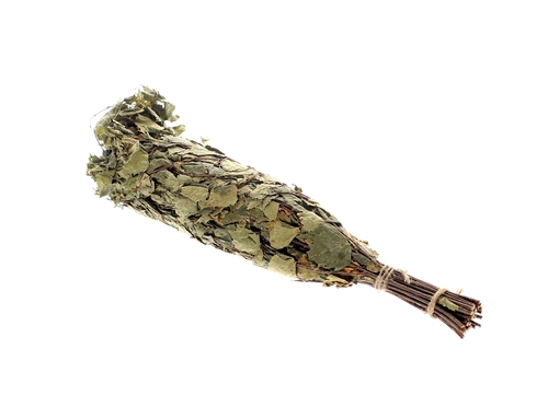 Birkenreisig (Handbündel)