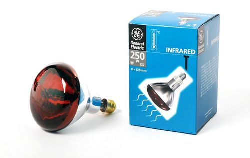 IR-Therapielampe E27 oder baugleich, 250 Watt