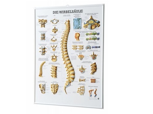 3-D-Relief-Poster 54 x 74 cm