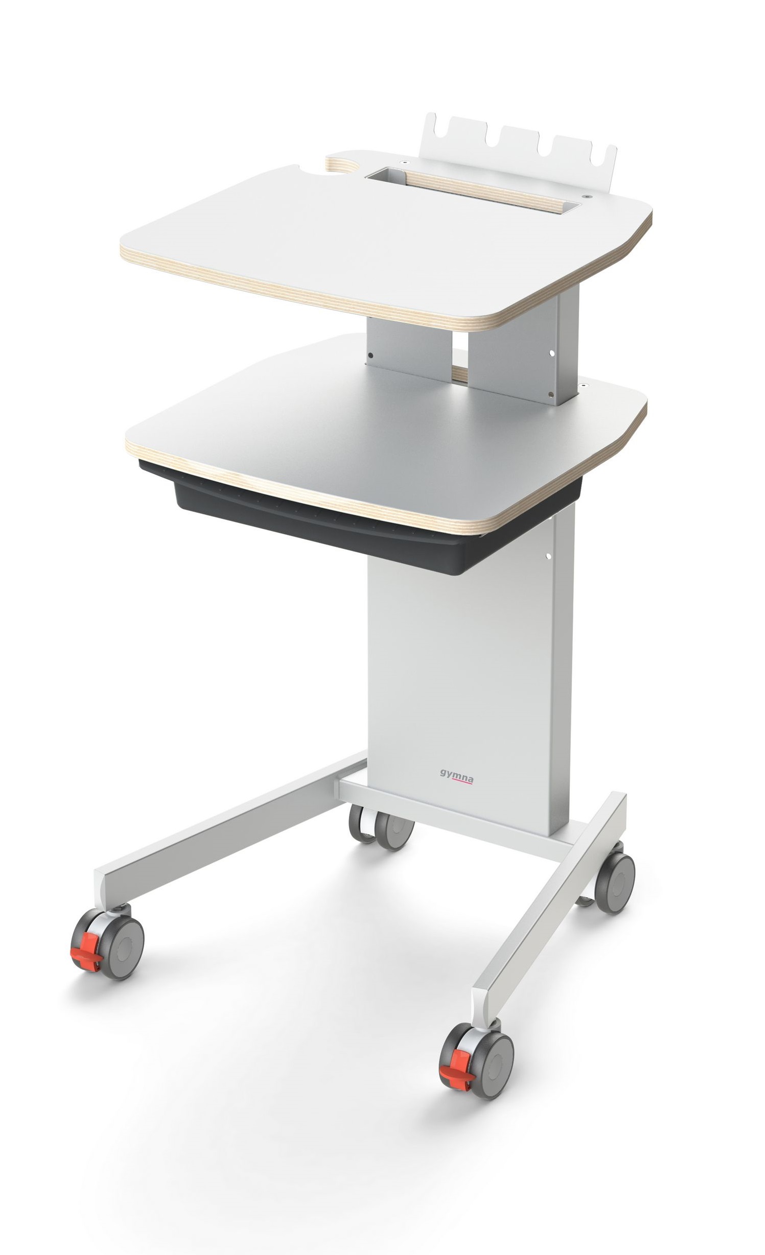 Gymna Combi 200 - Kombinationsgerät für 2-Kanal-Elektrotherapie & Ultraschall mit Multi-Schallkopf 4cm² (1+3 MHz) inkl. Standardzubehör, Farbe weiss