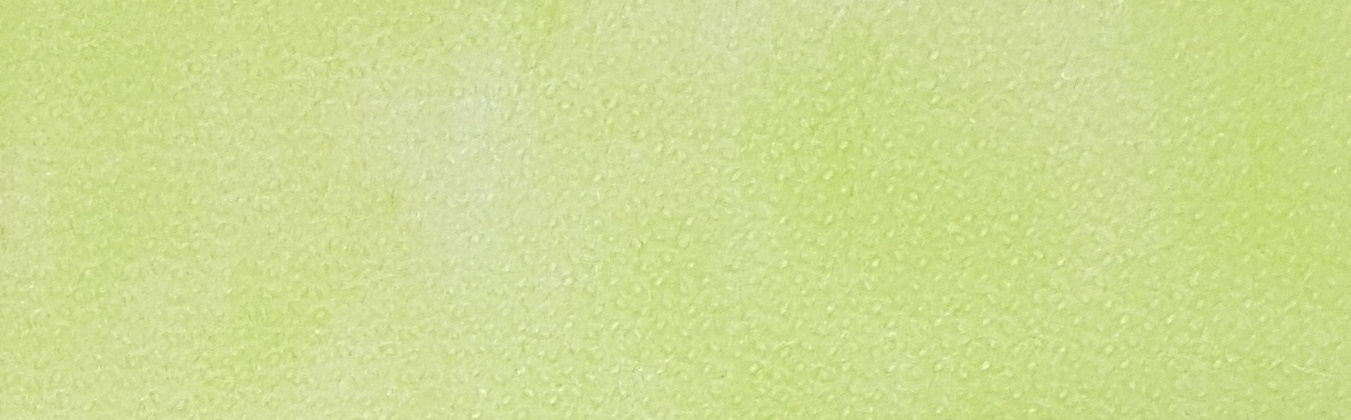Color Waschvlies-Laken 50 g, 0,80 x 2,00 m, in 4 verschiedenen Farben (PE = 10 St.)